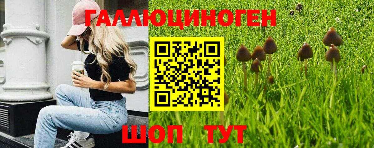 Белебей  Псилоцибиновые грибы мухоморы  Вход с VPN 